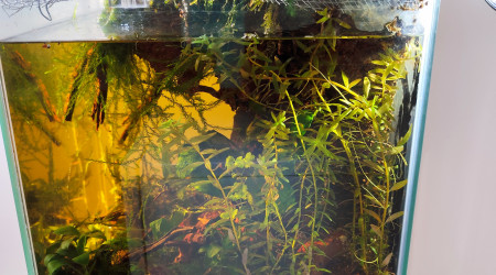 Éclairage définitif,