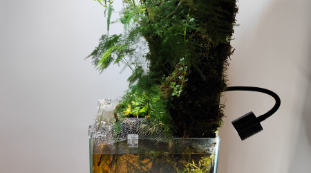 Les couleurs combinées du rétro éclairage et ceux des rayons du soleil.