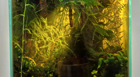 La partie aquatique au 16 août 2024