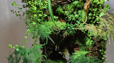 Le Paludarium au 16 août 2024