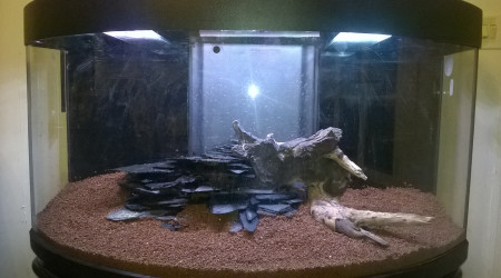 Substrat, racine et ardoises