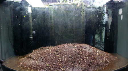 Réno 2 - création d'un îlot central