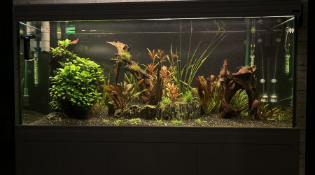 Suite du coucher de soleil