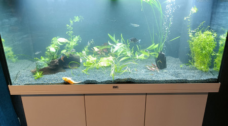 Lancement du Juwel 180l