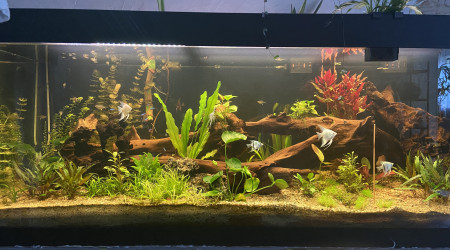 Tout le monde est arrivé