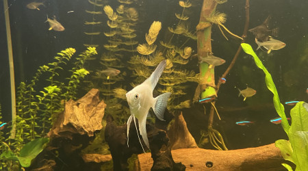 Tout le monde est arrivé