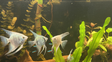 Tout le monde est arrivé