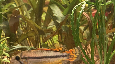 Tout le monde est arrivé