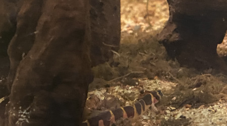 Tout le monde est arrivé