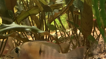 Tout le monde est arrivé