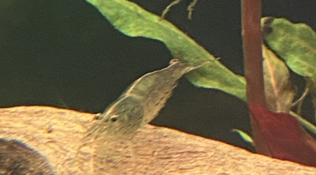 Tout le monde est arrivé