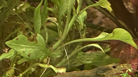 Tout le monde est arrivé