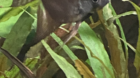 Tout le monde est arrivé