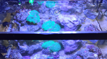 Vue du dessus 23 septembre 2024