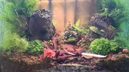 Lithion - the Bucce Valley