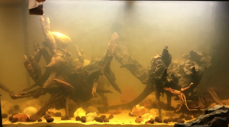 Installation des tanins