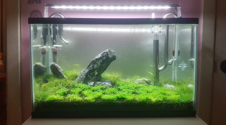 Fin de la mise en eau!