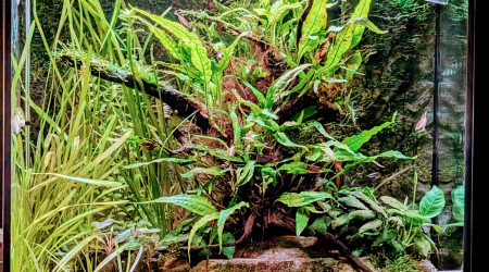 aquarium Lido 120 Led