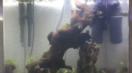 Premier changement d’eau