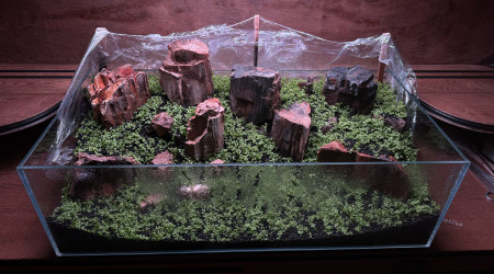 Mise en eau semaine prochaine