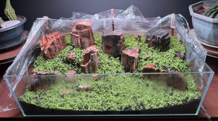 J’attends encore pour la mise à l’eau…