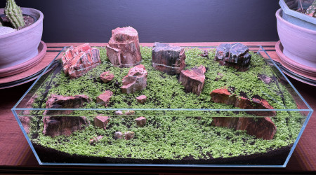 Sans CO2, sans chauffage, sans filtre!!!