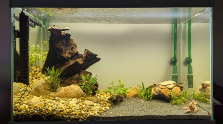 aquarium 150L