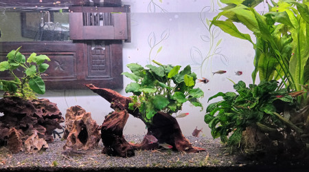 Communautaire de 140L