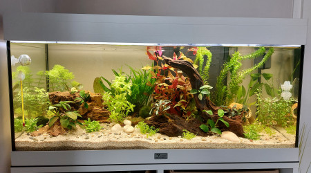 aquarium Aquarium Prestige 85L