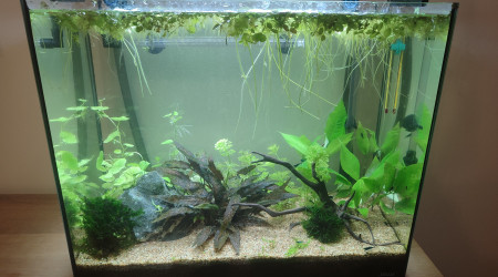 Supression du gros filtre interne