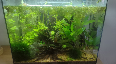 Supression du gros filtre interne