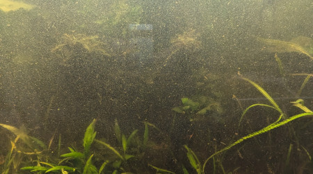 Remise en forme, phase 1