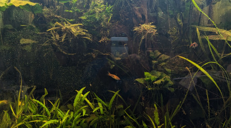 Remise en forme / phase 2