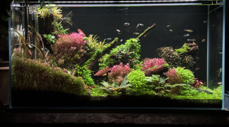 B. Quelles faces préférez vous? A ou B