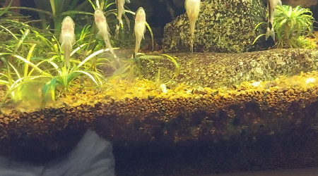 Journée nettoyage !!!