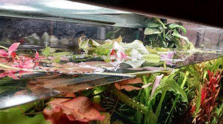 Journée nettoyage !!!