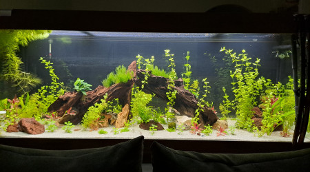 aquarium Michel