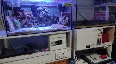 Pièce dans ma cave chauffée avec mon aquarium récifal