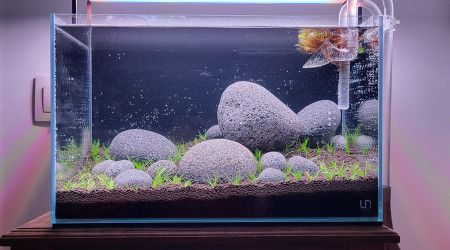 Le bac est planté !