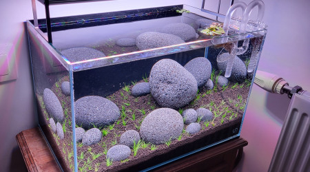 Le bac est planté !