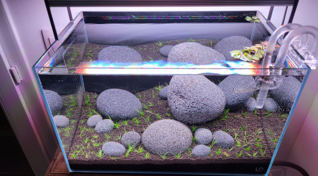 Le bac est planté !