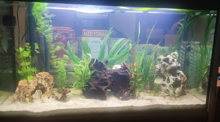 Fluval 450