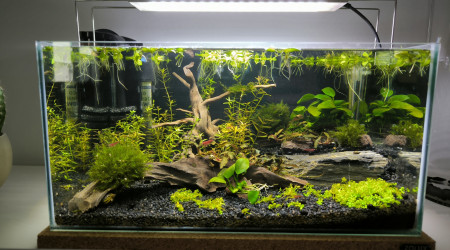 Changement rampe led