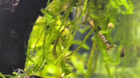 Arivée de occupantes du 30 litres