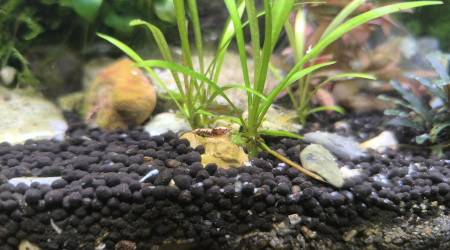 Arivée de occupantes du 30 litres