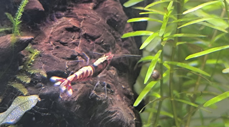 Arivée de occupantes du 30 litres