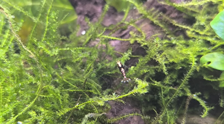 Arivée de occupantes du 30 litres