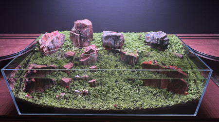 Ça pousse bien en extérieur