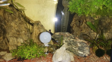 Changement de décor.