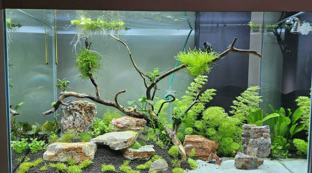 aquarium grand aqua